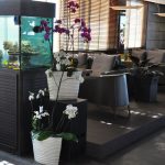 restorant-life-pleven-9