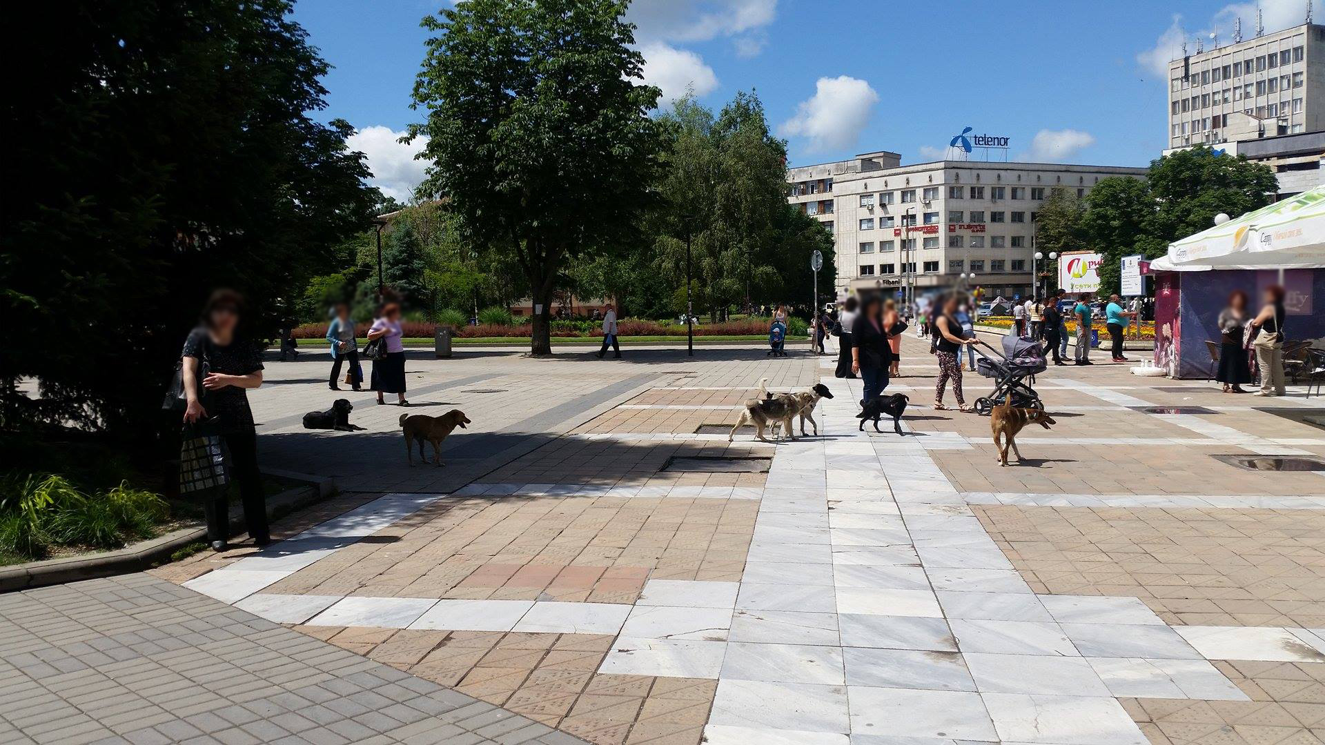 bezdomni_kucheta_pleven (2)