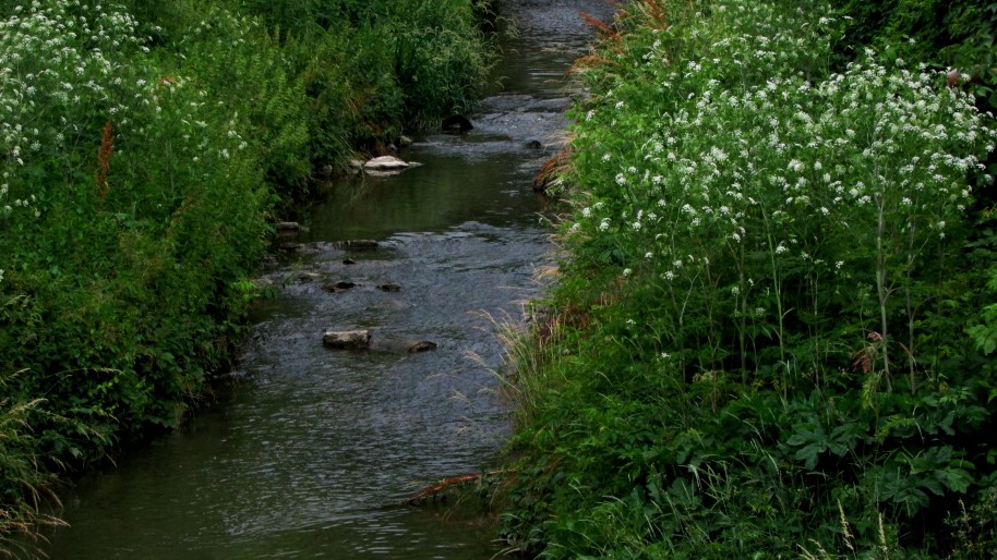 reka_tuchenitsa