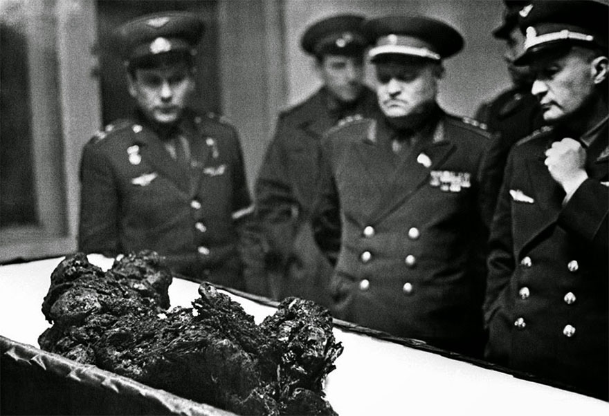 vladimir_komarov