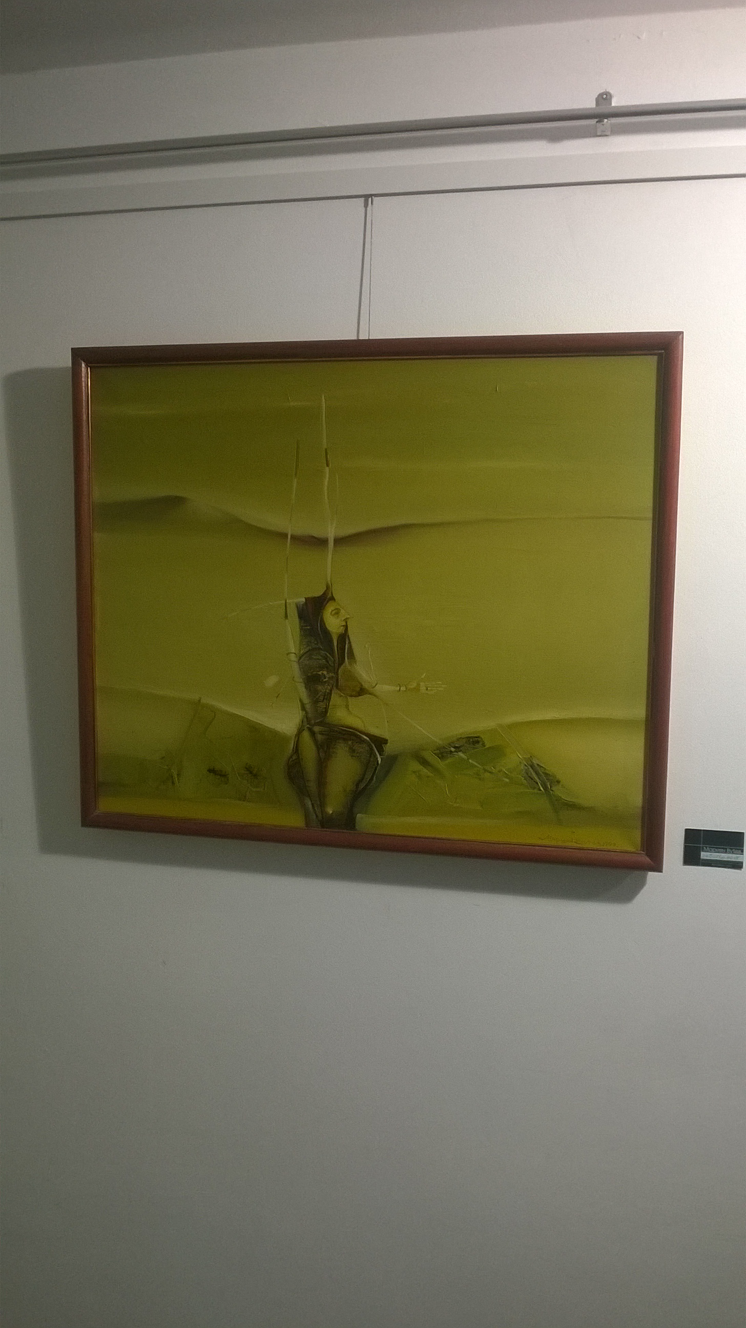 mariyan_vutev (11)