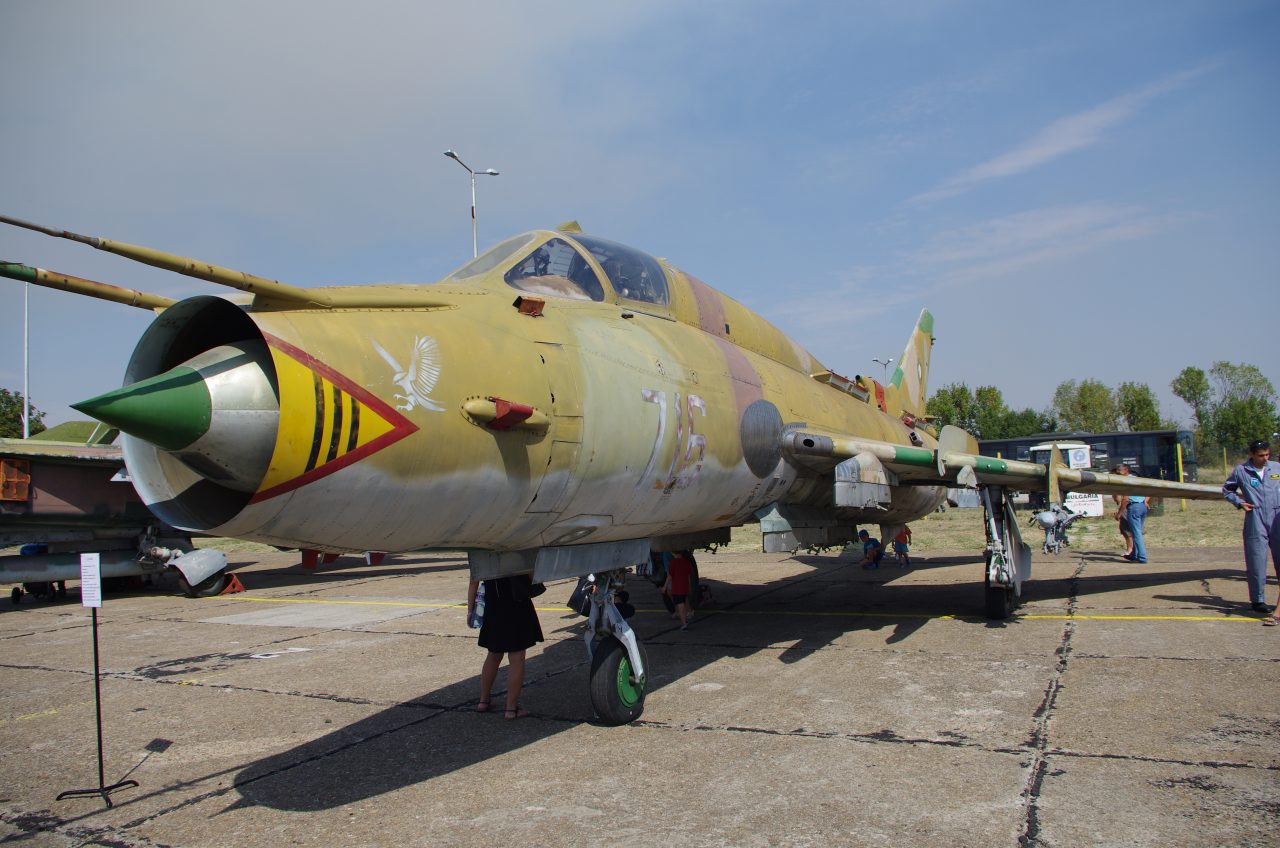 poleti_dolna_mitropoliya_l_39-4