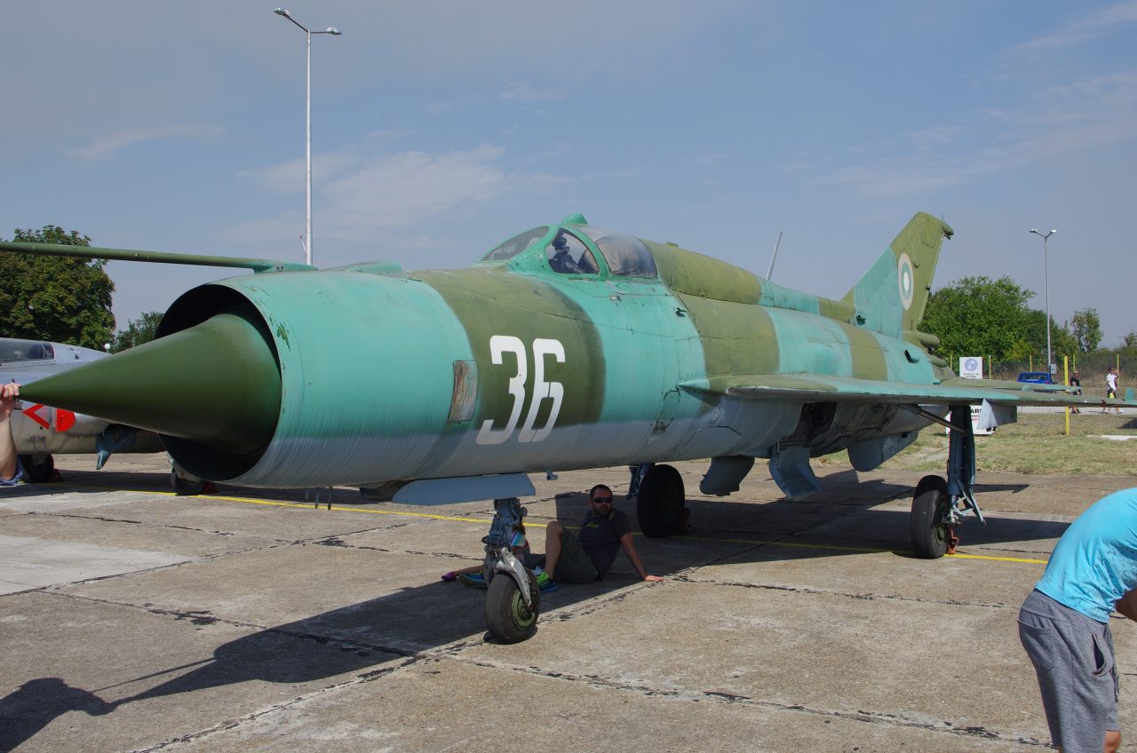 poleti_dolna_mitropoliya_l_39-6