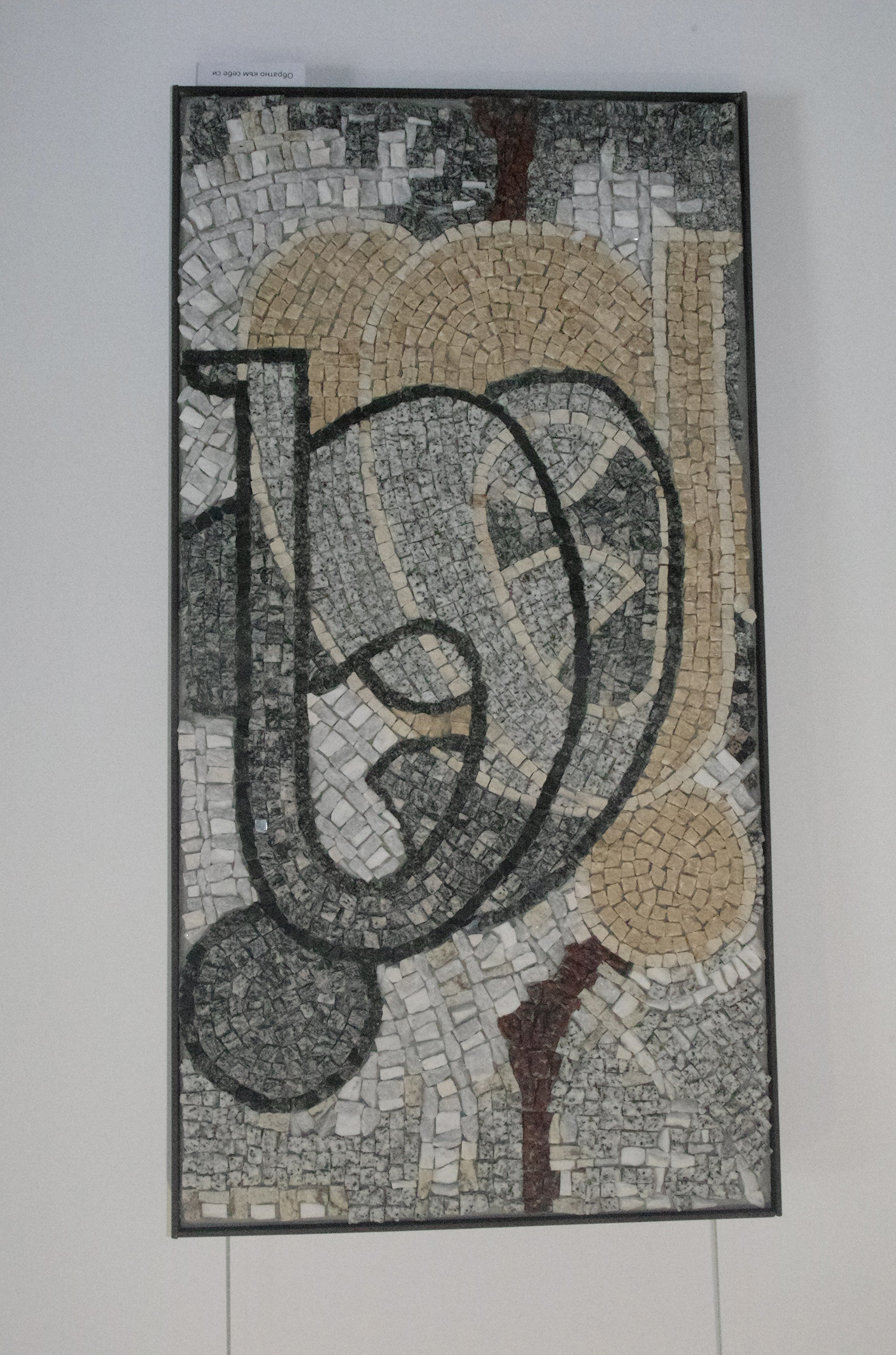 strahil_naydenov (16)