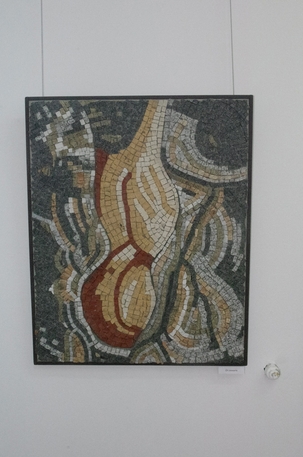 strahil_naydenov (24)