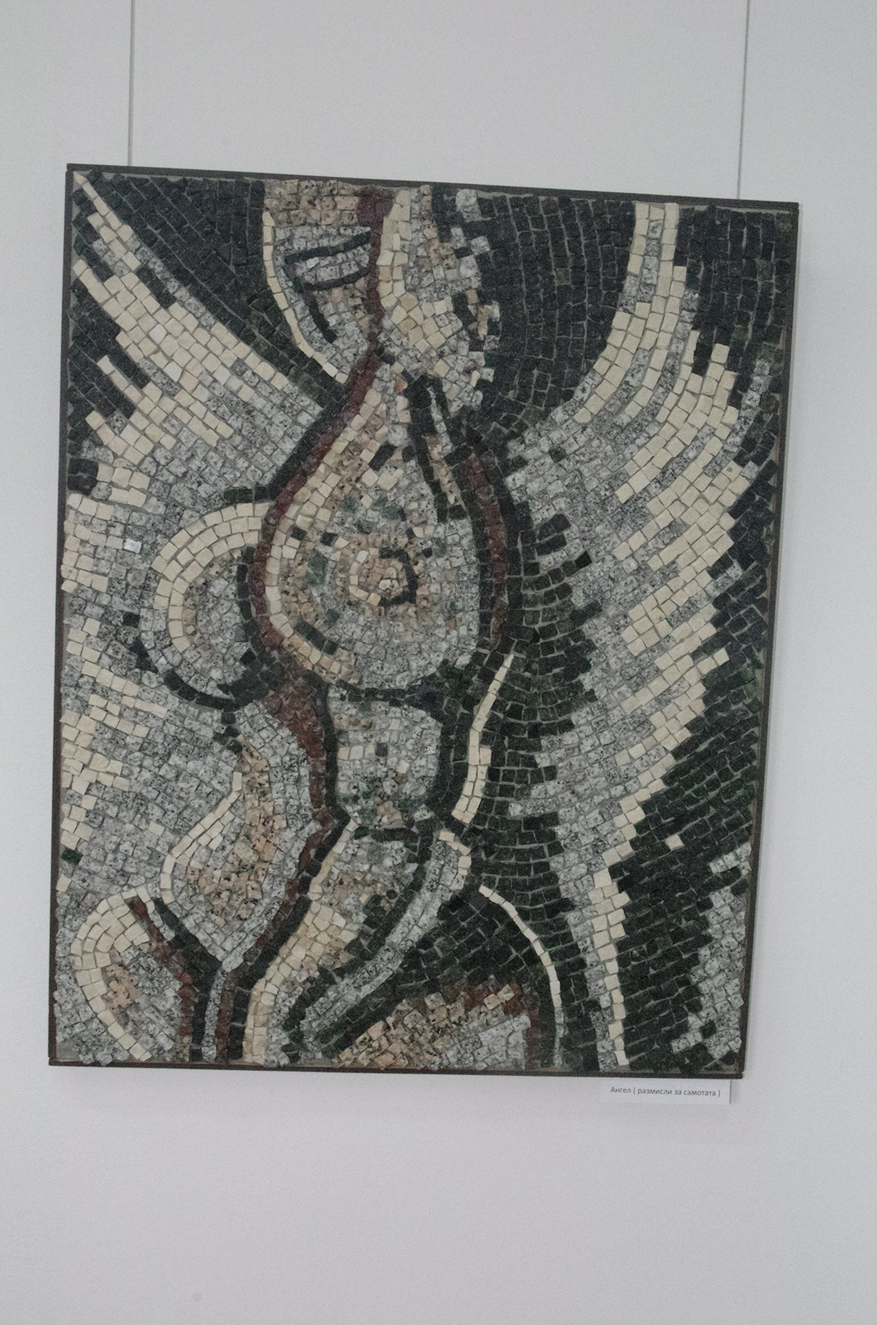 strahil_naydenov (25)