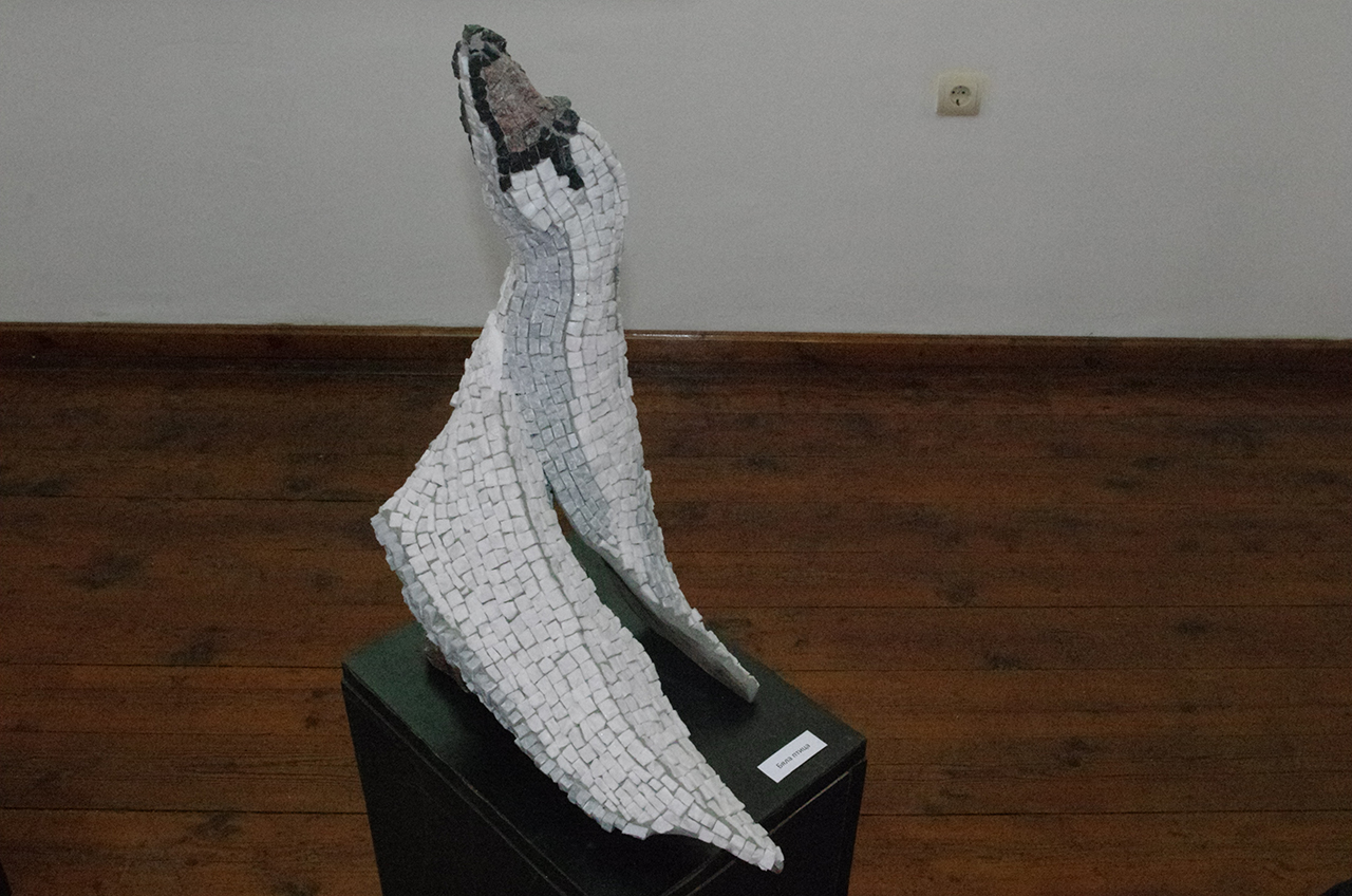 strahil_naydenov (5)