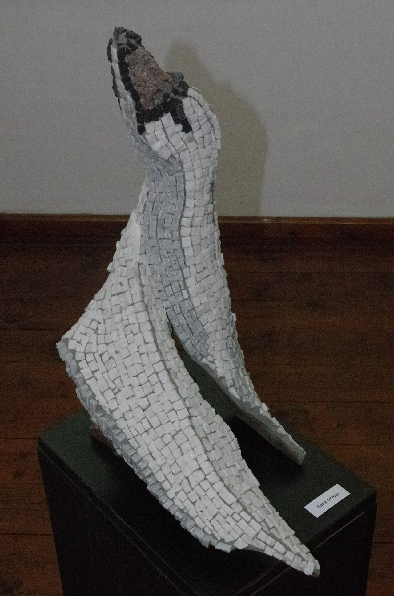 strahil_naydenov (6)