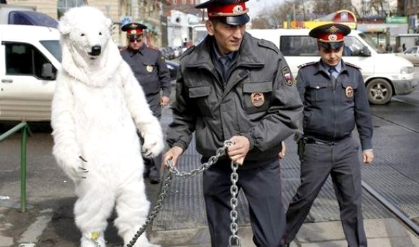 Арестувана мечка