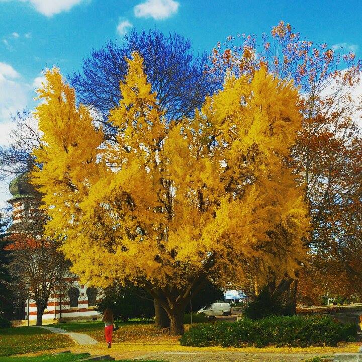 esen_v_pleven