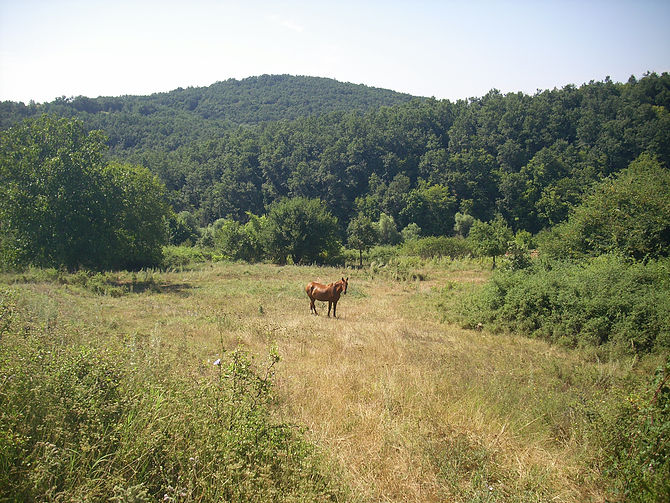 koilovtsi-2