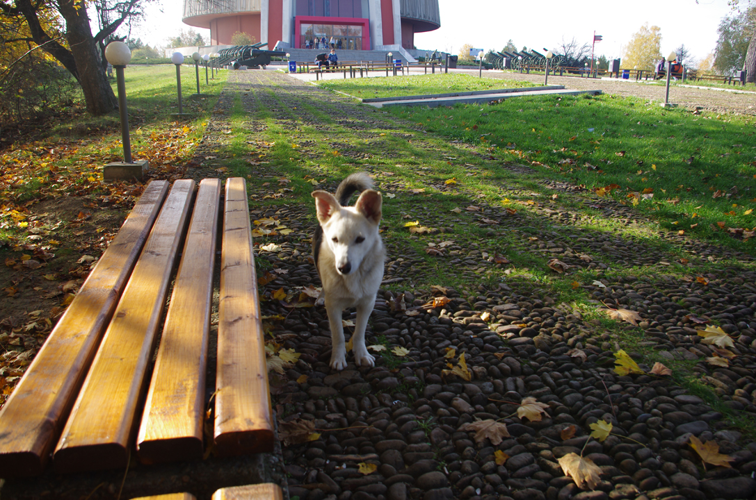 pleven_esen_2016-10