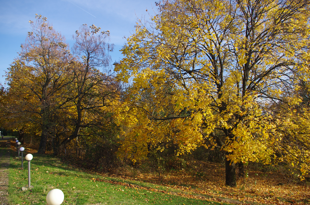 pleven_esen_2016-23