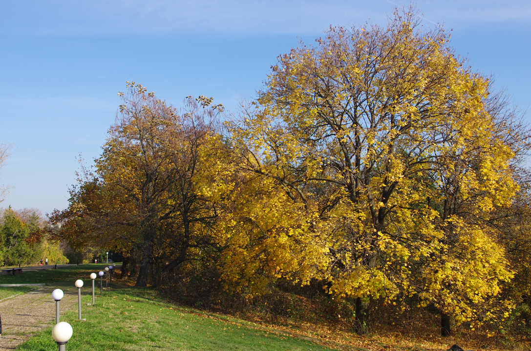 pleven_esen_2016-24