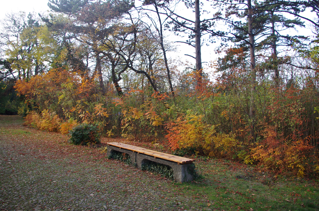 pleven_esen_2016-31