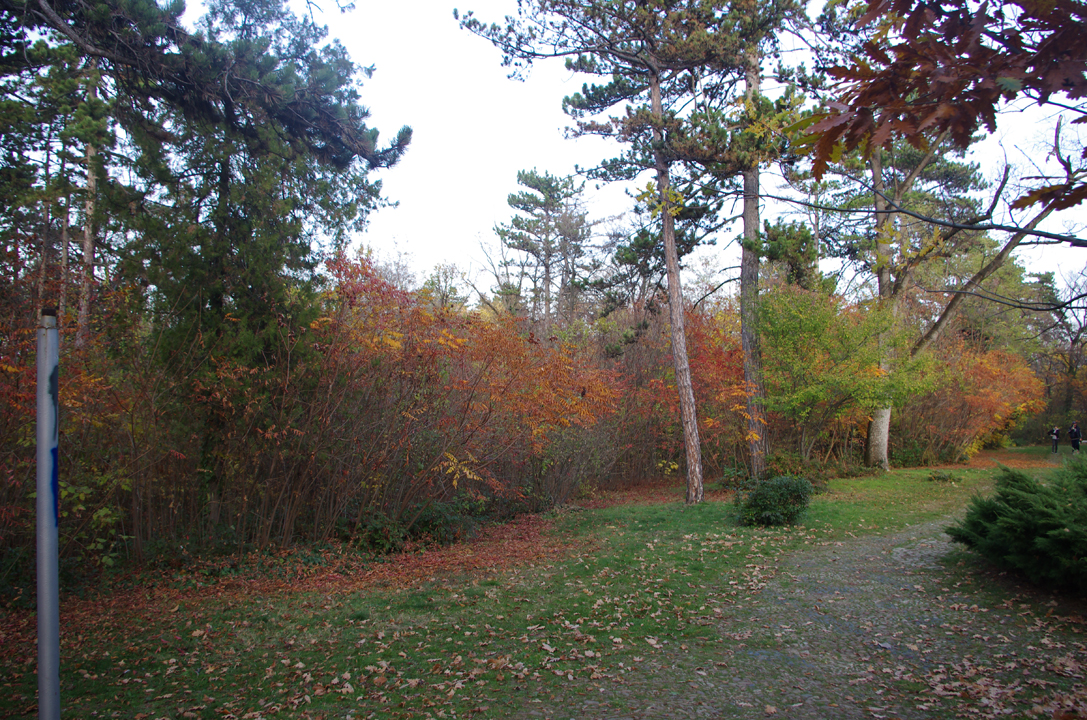 pleven_esen_2016-34