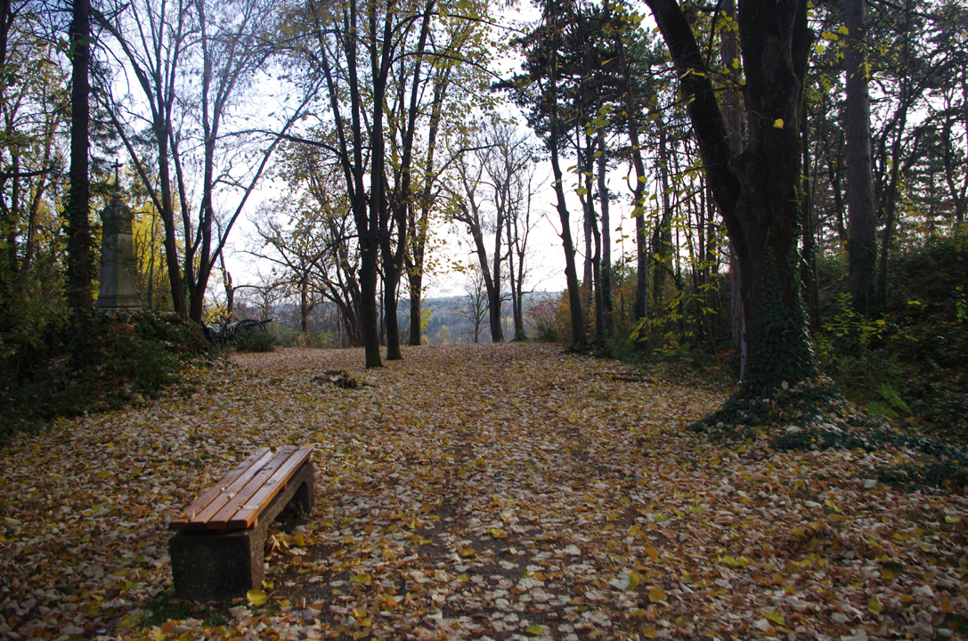 pleven_esen_2016-36