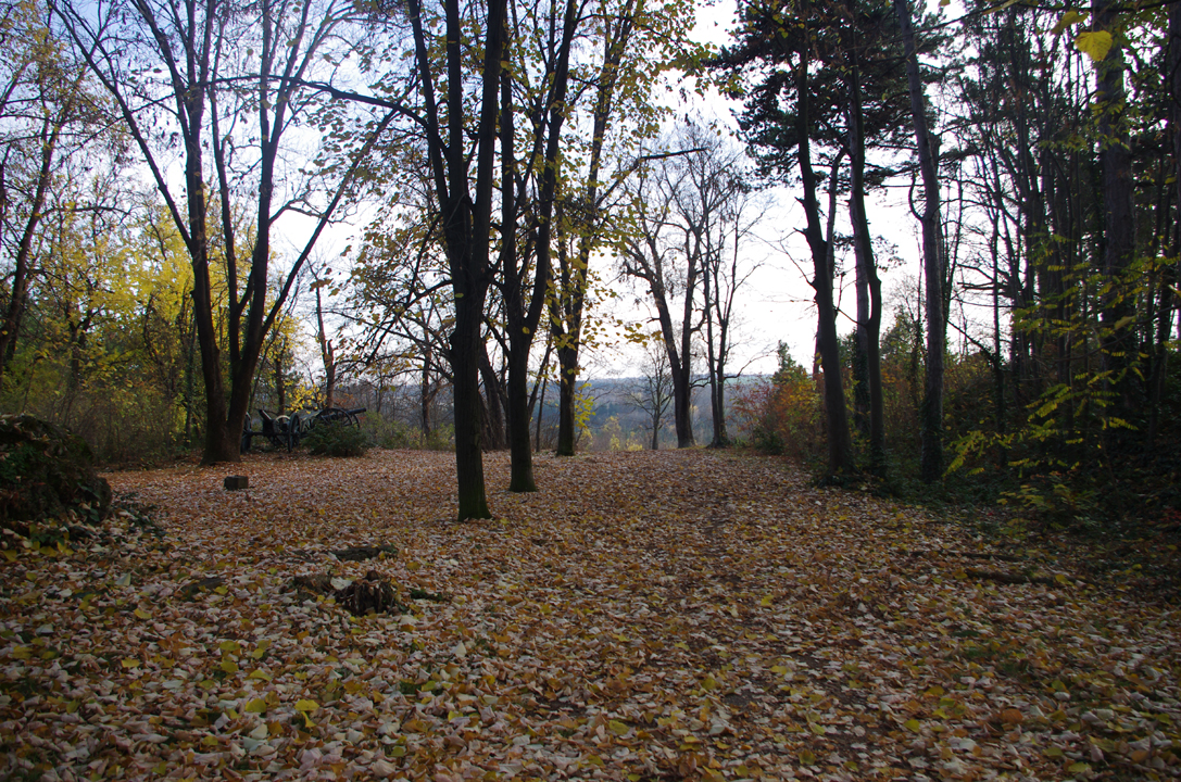 pleven_esen_2016-38