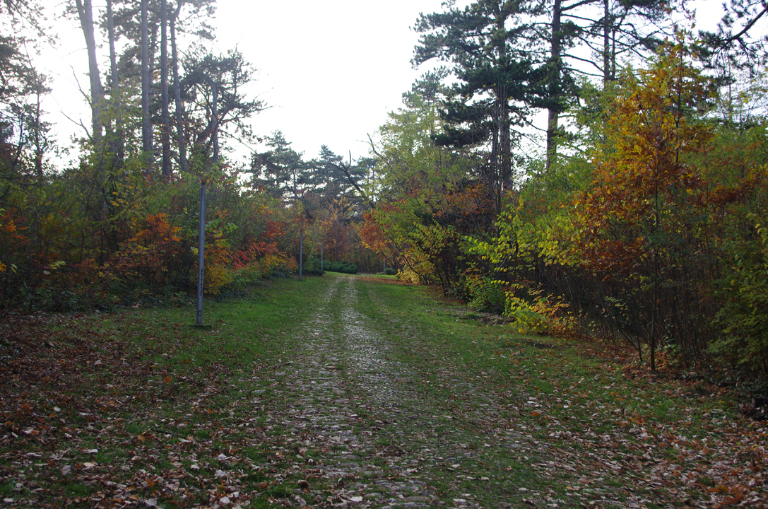 pleven_esen_2016-39