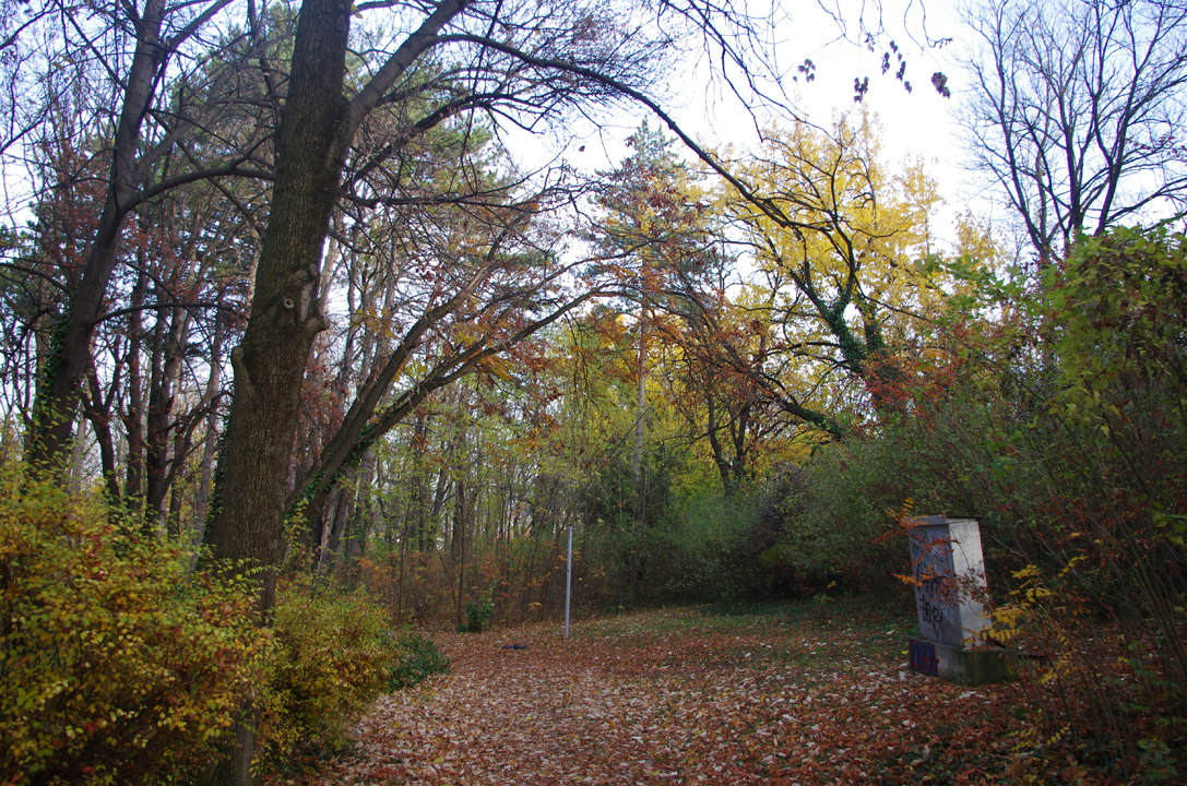 pleven_esen_2016-40