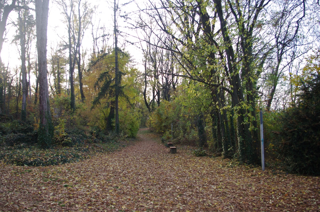 pleven_esen_2016-46