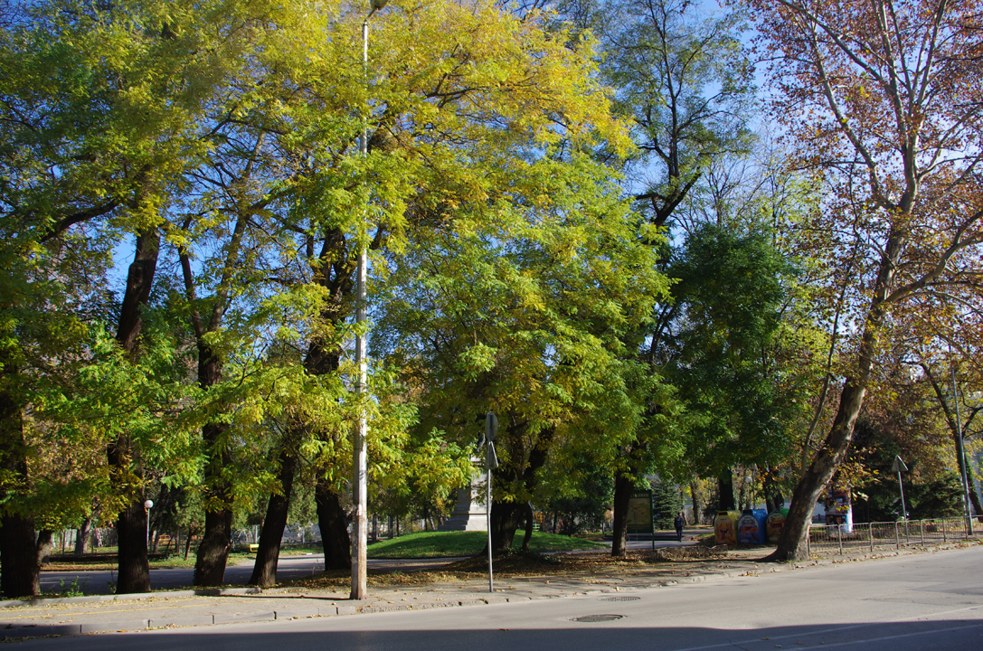 pleven_esen_2016-51