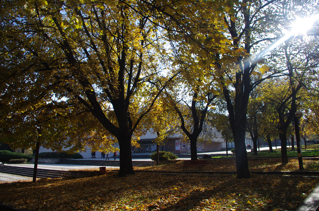 pleven_esen_2016-58