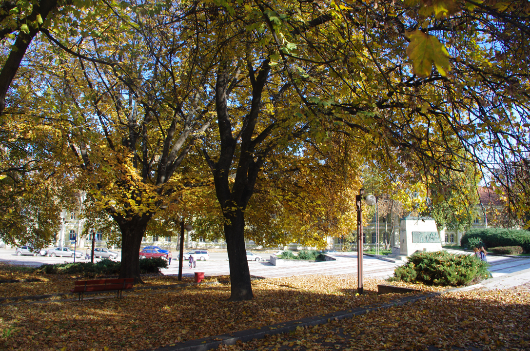 pleven_esen_2016-59