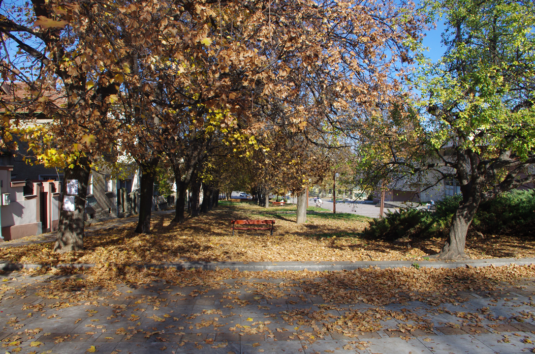 pleven_esen_2016-62