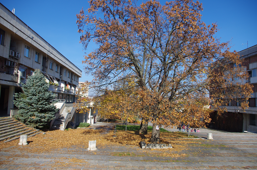 pleven_esen_2016-63