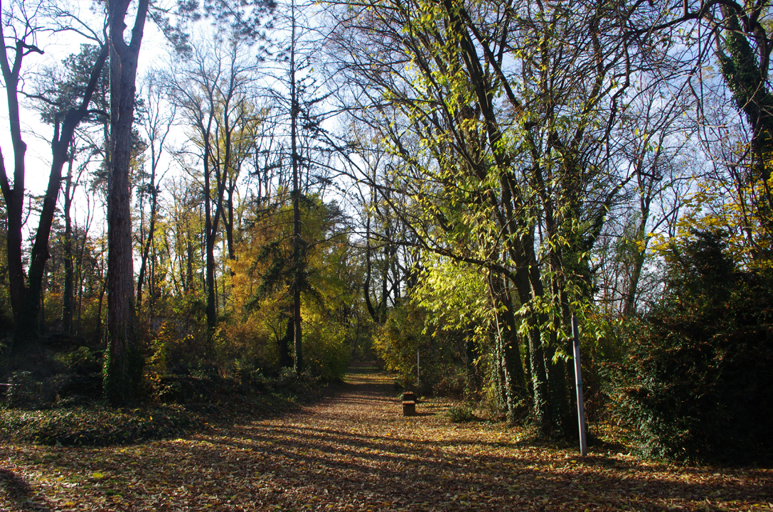pleven_esen_2016-66