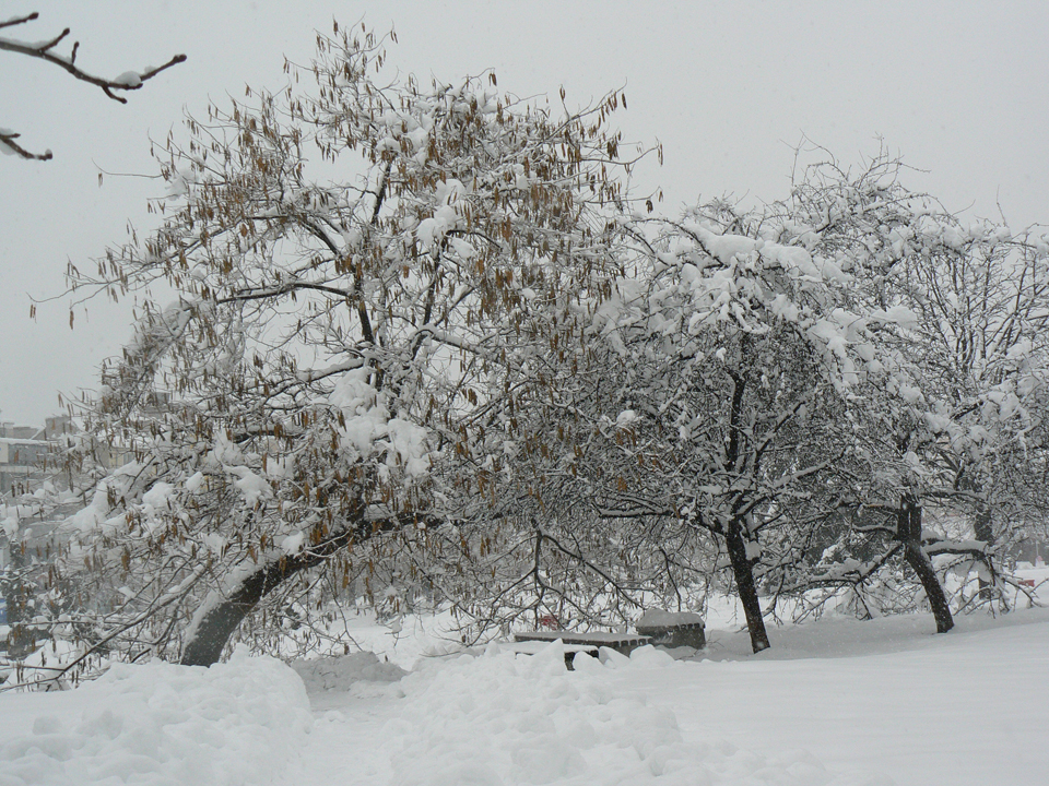 pleven_zima_2009-11