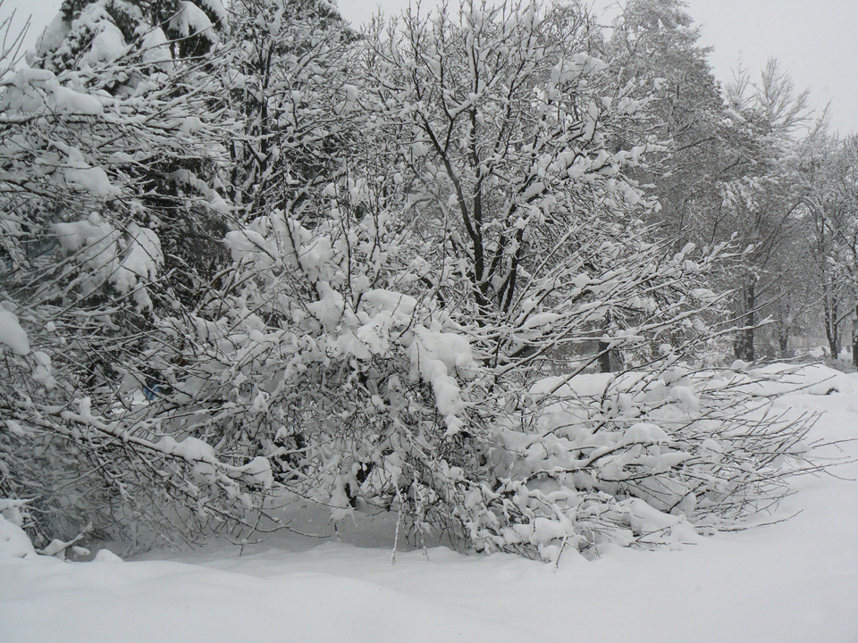 pleven_zima_2009-12