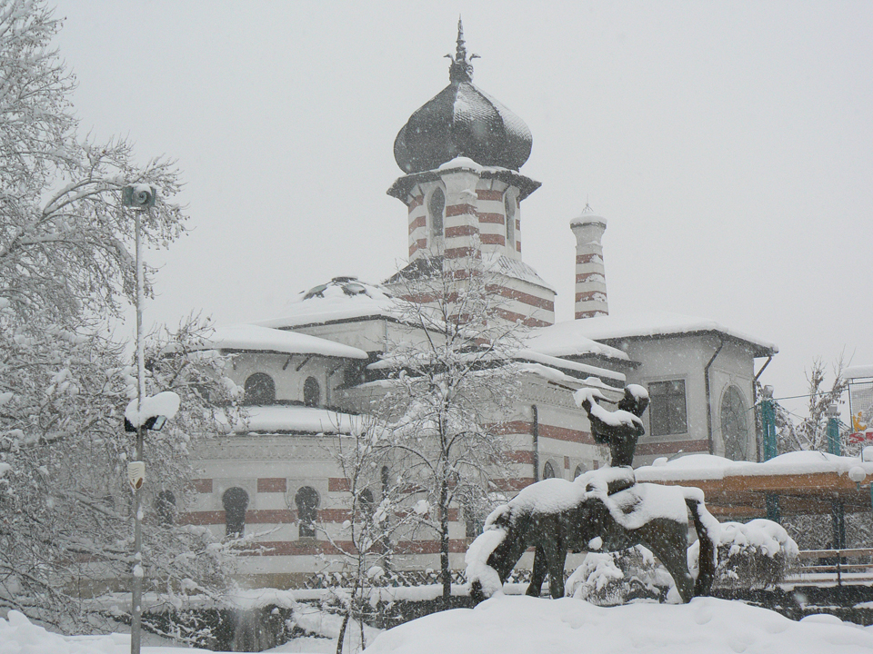 pleven_zima_2009-14