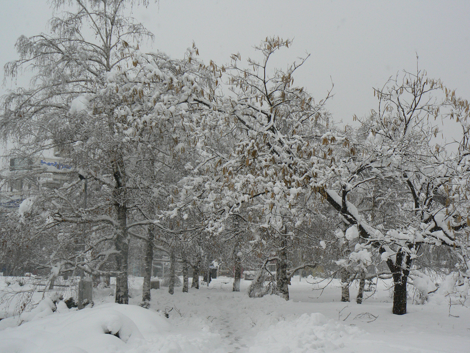pleven_zima_2009-15