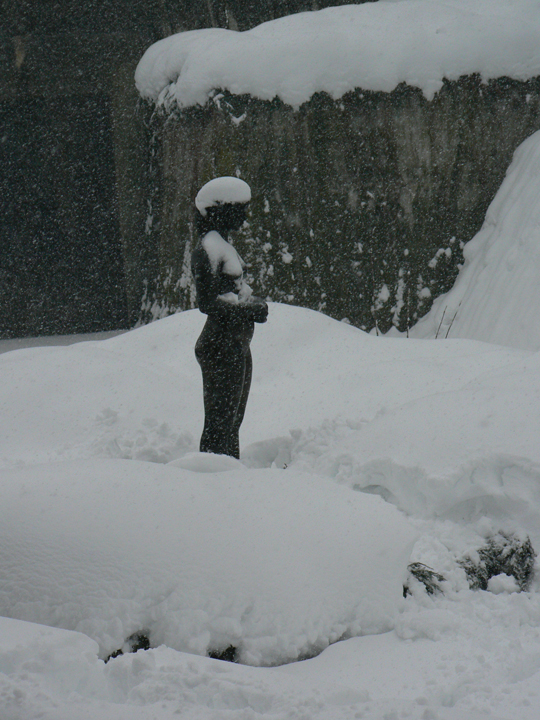 pleven_zima_2009-6