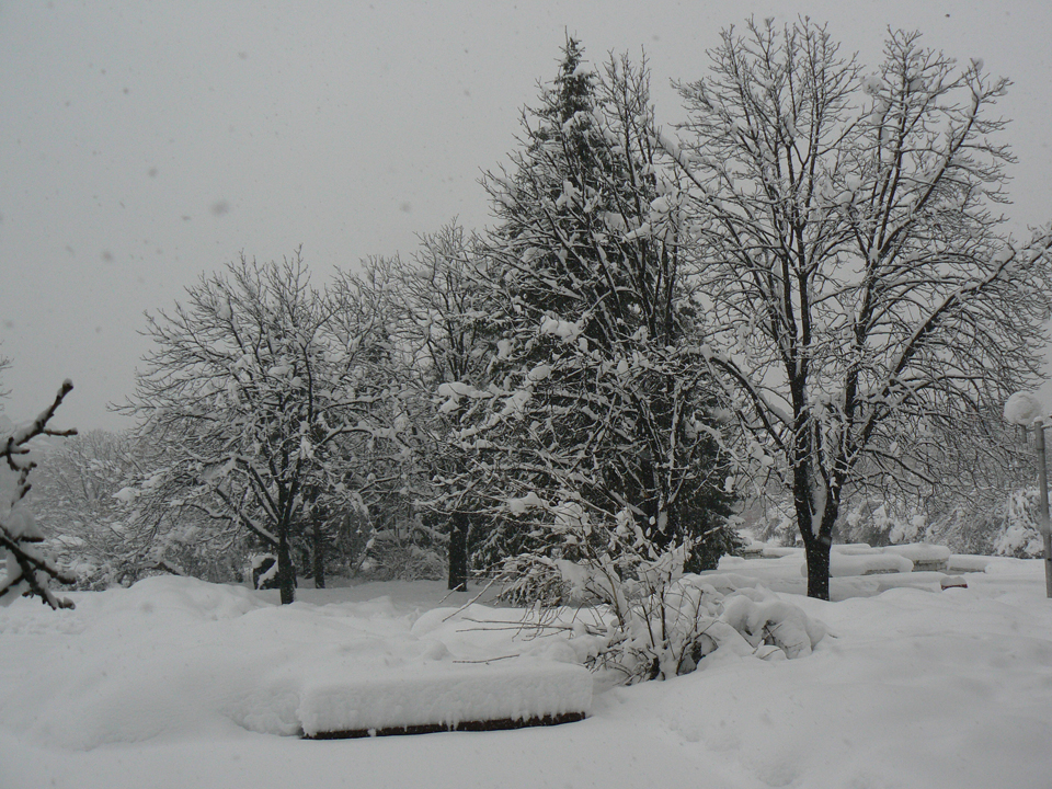pleven_zima_2009-7