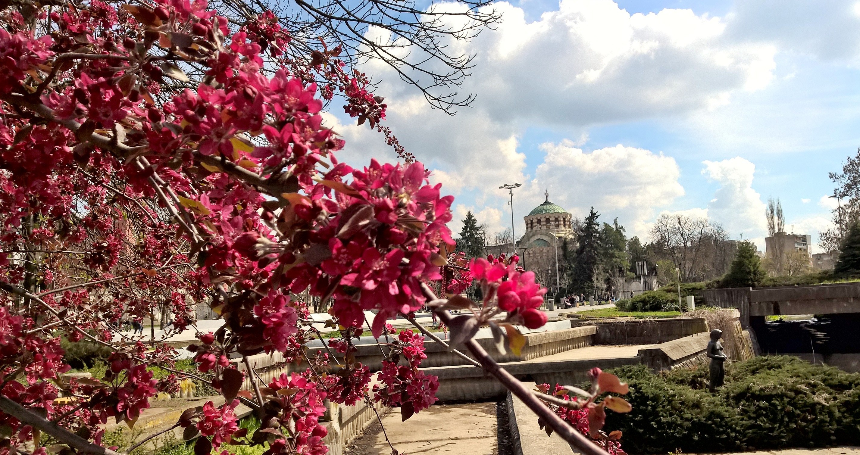 Плевен център