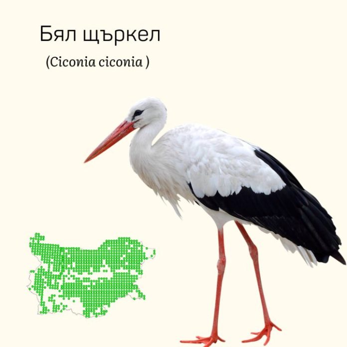 495649890_1106241844864677_3017187157675391306_n