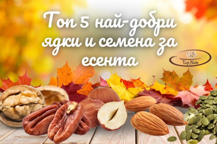 Topnuts.bg-bg-40