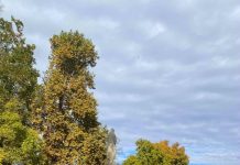 Есента – сезонa на промяната