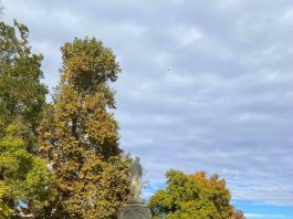 24 ноември – Имен ден празнуват Екатерина, Катя, Катрин, Катерина