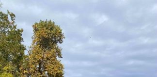 24 ноември – Имен ден празнуват Екатерина, Катя, Катрин, Катерина