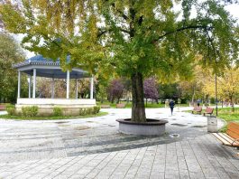 Запалване светлината на Коледната елха