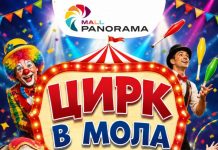 ЦИРКОВО ПРИКЛЮЧЕНИЕ за малки и големи в Панорама Мол !